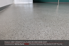 LEVA SIC PROJECT PHOTOS (1200 x 800 px) - GREY GRANITE FULL FLAKE ON GREY BASE COAT (4)